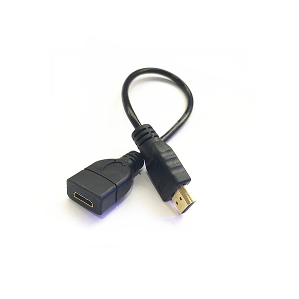 Mini HDMI tips C Female uz HDMI vīrieti Type A Cable.jpg